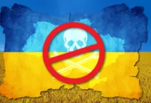 Пиратство в Украине