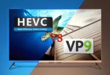 H.265 vs VP9